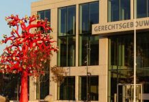 Caso di abuso online mas grandi na Hulanda marca pa extorsion di mas di 100 mucha muhe