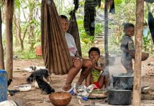 Colombia ta bay investiga militarnan local y stranhero pa violacion di indigenanan menor di edad