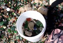 Fundacion Savaneta Prome Capital ta condena e hecho cu turistanan ta piki y hiba sea glass for di e rif