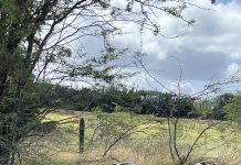 Minister Oduber: “Dumpmento di sushi ilegal naturalmente tin nos atencion y preocupacion”