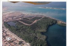 Rainbow Warriors International: Dia mundial di zonanan humedo