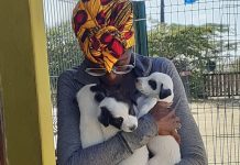 Luna Foundation: “Nos mester di voluntario, mas voluntario nos tin mas cacho nos por yuda”