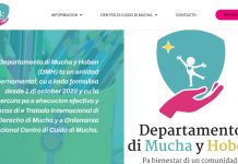 Despues di algun contratiempo imprevisto: Website oficial di Departamento di Mucha y Hoben (DMH) ta accesibel