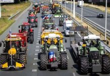 Alcalde di Den Haag ta menasa campesinonan cu uso di ekipo militar pa controla manifestacionnan