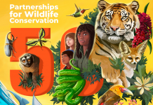 Dia mundial di Bestia y Matanan Salvahe 2023 ta celebra e 50 aña di e organisacion CITES