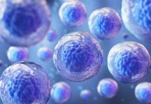 E ultimo cura di HIV ta prome di su tipo