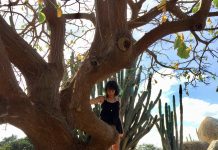 Jess Wolff: “Experimentacion y intuicion ta hopi importante pa crea bo mesun estilo”