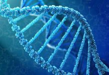 Test di DNA por evita cu pashentnan di cancer di colon mester ricibi kimoterapia innecesario