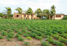 Dia di Tera 2023: Inverti den nos Planeta