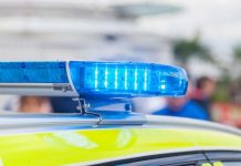 A cera scol primario na Amsterdam pa via di menasa