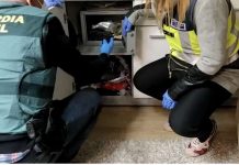 A descubri un organisacion cu tabata explota sexualmente muhenan di Colombia na Spaña