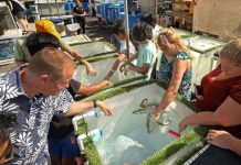 Activistanan di derechonan di animal ta protesta contra criadero di pulpo na Spaña