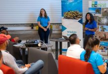 Bon reaccion pa e anochinan di informacion: Malesanan di Coral