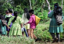 Colombia: Gobierno ta suspende alto al fuego cu disidencia di FARC despues di asesinato di 4 mucha