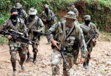 Colombia: Clan del Golfo ta menasa magistradonan di tribunal di paz