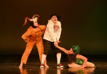 Fundacion CCCA ta presenta e musical ‘Mi ta un Artista’