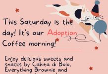 Nine Lives Aruba Foundation cu evento pa famianan por adopta pushi mañan 1 di juli