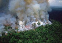 Candela na Amazonia Brasileño a aumenta na 120% den luna di mei
