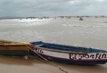 Dos boto cu indocumentadonan a drenta Aruba riba e mesun dia