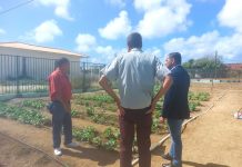 Minister Ursell Arends kier introduci agricultura na scol