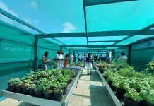 SPO Santa Cruz a inaugura nan green house