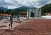 Amantenan di chuculati ta celebra cu awe 7 di juli ta Dia Mundial di Cacao