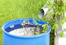 Con pa preveni Dengue? Tuma accion pa Preveni, Proteha y Stop Dengue