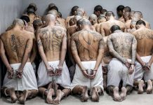 Congreso di El Salvador ta aproba huicionan colectivo pa presunto gangnan