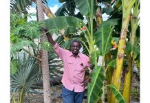 NPU Mabon ta organisa tayer di agricultura