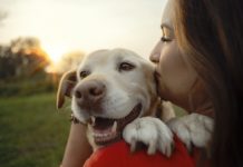 Ken ta e ‘top dog’? Cachonan surfista ta competi den e Campeonato Mundial di Surf pa Cachonan