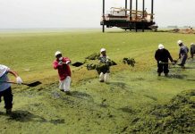 Venezuela: Contaminacion di lago di Maracaibo ta sigui crece