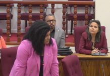 Parlamentario Misha Raymond: “Pa mi por sostene e ley awe cu ta promove prosperidad, mi kier wak logopedie bira un realidad cu urgencia”