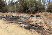 Comunidad preocupa pa cantidad di sushi tur rond Aruba