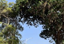 ELMAR a finalisa e proyecto pa pone luz nobo di caya na bernhardstraat