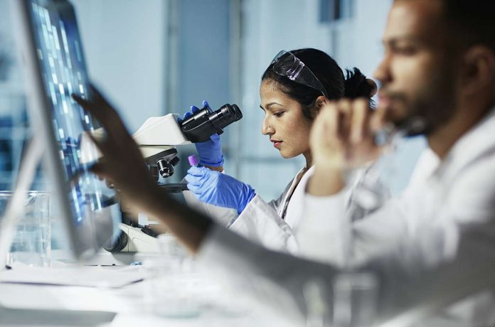Scientist Working on Computer In Modern Laboratory