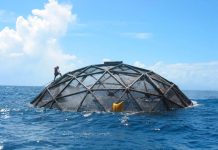 Gunnar Bracelly tocante proyecto pa cria pisca riba lama habri: “Haci di e forma corecto, open-ocean aquaculture ta hopi positivo”