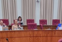 MEP na Parlamentario Marisol Lopez-Tromp: Bo no ta bin reunion, y despues bo kier keha