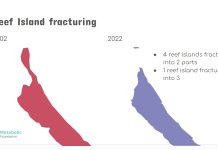 Segun data di Surfside Science: Mayoria islanan di rif na Aruba ta birando mas chikito