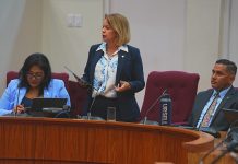 Stichting Deugdelijk Bestuur Aruba SDBA: Pakico RAft ta necesario pa Aruba?