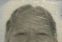 Ingrid Francisca Donata