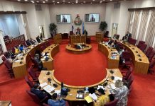 AVP ta entrega proposicion pa un acercamento mas amplio pa maneho di desaroyo di Aruba y di relacion cu Hulanda