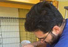 Abuso y maltrato di cacho ta sigui tuma luga