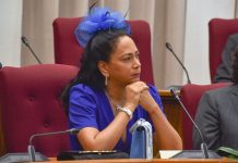 Cantidad di pregunta durante aña parlamentario 2022-2023 cu no a haya contesta ta halto