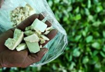 Cocaina ta cerca di supera petroleo como producto principal di exportacion di Colombia