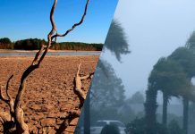 Ecuador a aumenta e nivel di alerta pa fenomeno “El Niño” di geel pa oraño