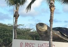 Sospechoso di graffiti riba escultura di turtuga na Eagle Beach a keda deteni TORTUGA ROTONDE NO MORE HOTELS