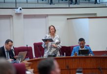 Hulanda ta habri pa un solucion hibrido: Mientras tanto Aruba mester cuminsa paga debe na interes di mercado