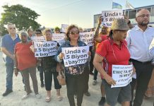 Parlamentario Mike de Meza (AVP): Gobierno kier saca ganashi di tarifa halto na WEB y ELMAR