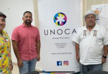 Proyecto ‘25 Hours of Theatre’ ta enfoca ariba formacion teatral di hobennan