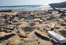 Turistanan a nota y a expresa preocupacion pa cantidad di sushi na lamanan di Aruba